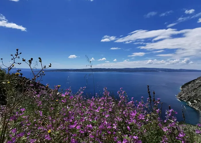 Deak 公寓 马卡尔斯卡